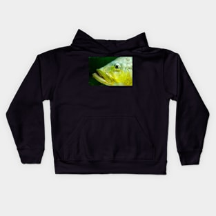 Fish Portrait - Mavis Kids Hoodie